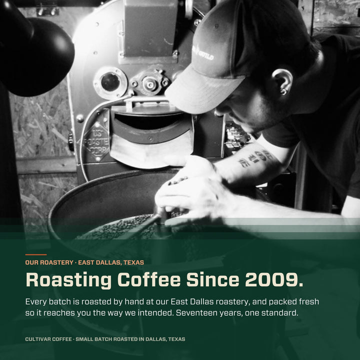 Roaster checking freshly roasted beans in the cooling tray at Cultivar&