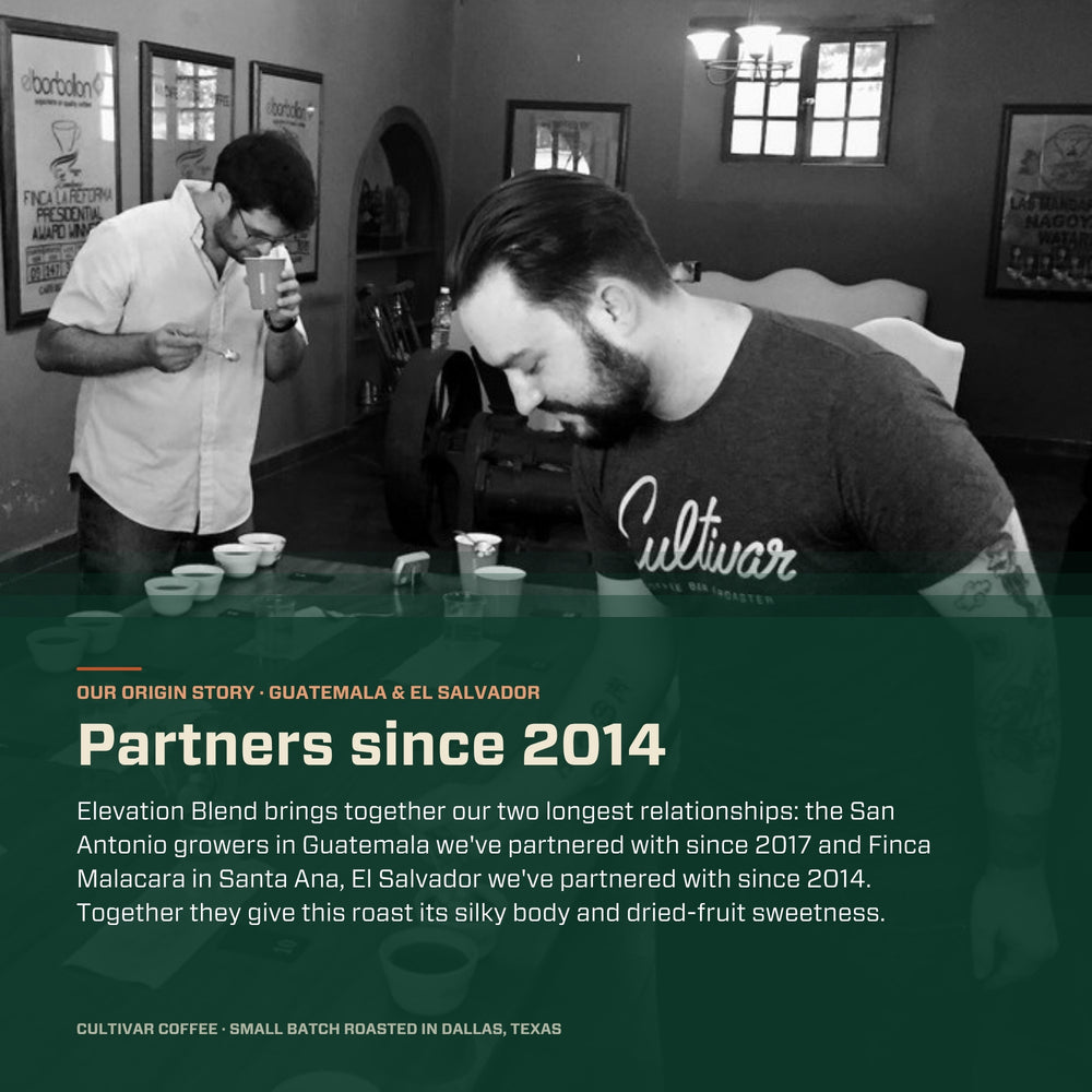 Black-and-white photo of a coffee cupping with a green panel: Elevation Blend origin story, partners in Guatemala and El Salvador since 2014