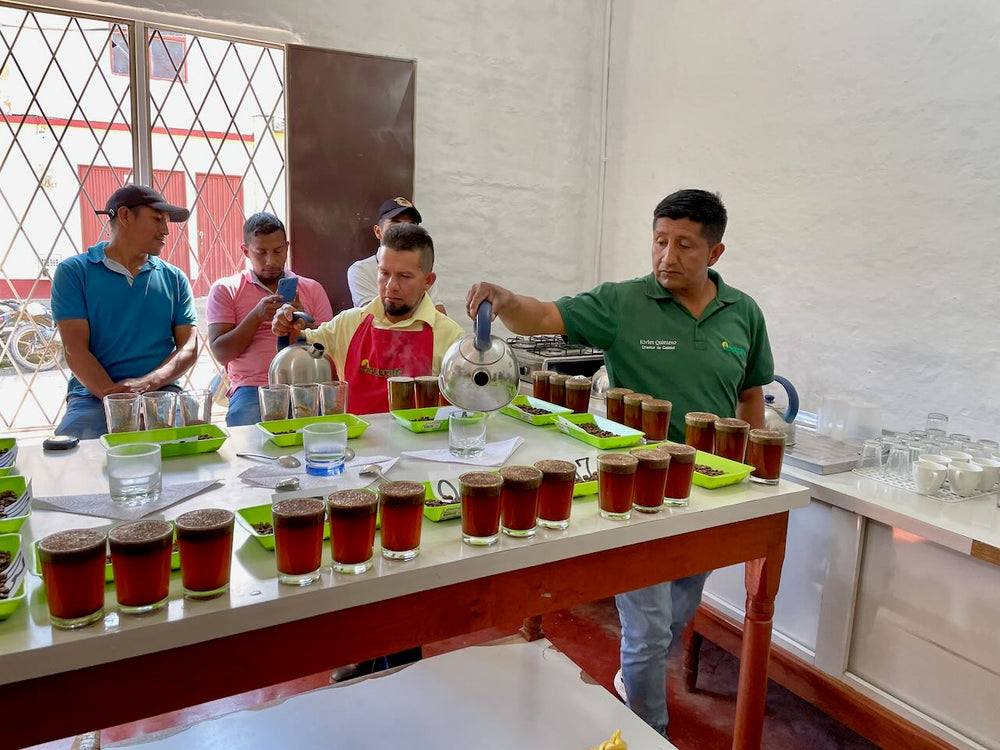 Cupping table lined with numbered sample cups during selection of the Colombia Tierradentro lot in Cauca