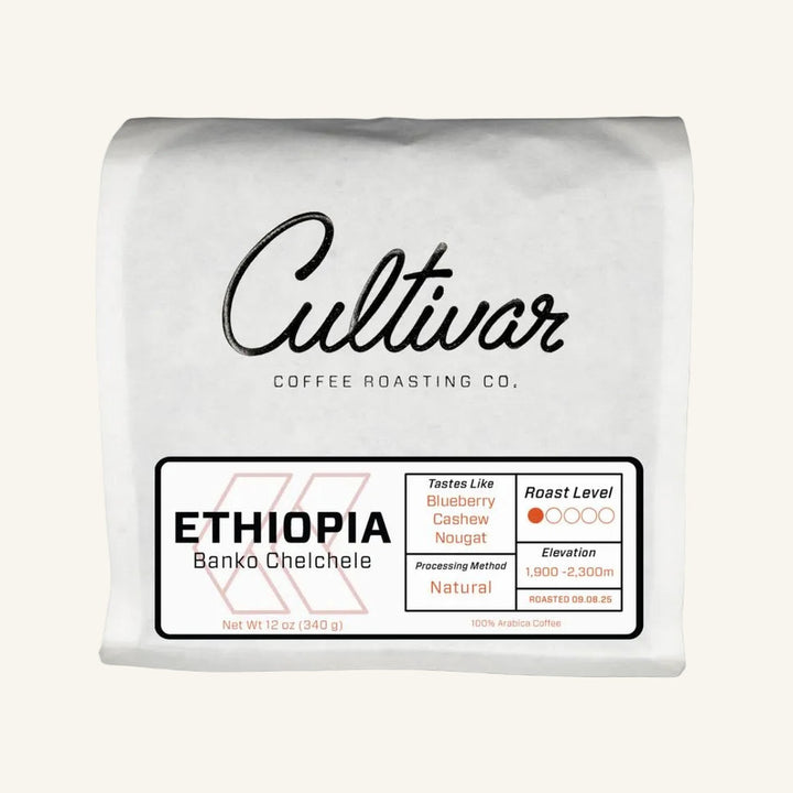 Ethiopia Banko Chelchele